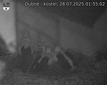 Capi_Dubne_20250728_015502.jpg