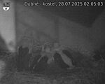 Capi_Dubne_20250728_020503.jpg