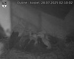 Capi_Dubne_20250728_021002.jpg