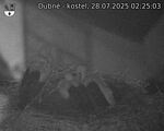 Capi_Dubne_20250728_022503.jpg