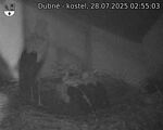 Capi_Dubne_20250728_025503.jpg