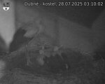 Capi_Dubne_20250728_031002.jpg