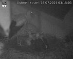 Capi_Dubne_20250728_031503.jpg