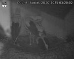 Capi_Dubne_20250728_032002.jpg