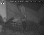 Capi_Dubne_20250728_032502.jpg