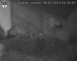 Capi_Dubne_20250728_033003.jpg