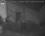 Capi_Dubne_20250728_035502.jpg