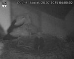 Capi_Dubne_20250728_040002.jpg