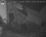 Capi_Dubne_20250728_040503.jpg