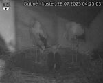 Capi_Dubne_20250728_042503.jpg