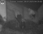 Capi_Dubne_20250728_043502.jpg