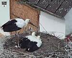Capi_Dubne_20250728_112003.jpg