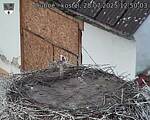 Capi_Dubne_20250728_125003.jpg
