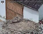 Capi_Dubne_20250728_130503.jpg