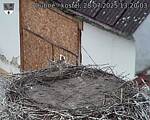 Capi_Dubne_20250728_132003.jpg
