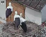 Capi_Dubne_20250728_134003.jpg