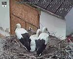 Capi_Dubne_20250728_135502.jpg