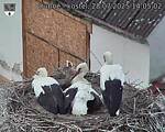 Capi_Dubne_20250728_140502.jpg