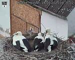 Capi_Dubne_20250728_143503.jpg