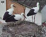 Capi_Dubne_20250728_155503.jpg