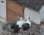 Capi_Dubne_20250728_165503.jpg