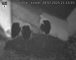 Capi_Dubne_20250728_211503.jpg