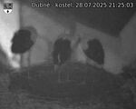 Capi_Dubne_20250728_212503.jpg
