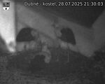 Capi_Dubne_20250728_213003.jpg