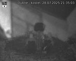 Capi_Dubne_20250728_213503.jpg