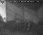 Capi_Dubne_20250728_215502.jpg