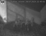 Capi_Dubne_20250728_224502.jpg