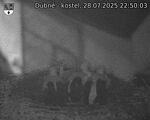 Capi_Dubne_20250728_225003.jpg