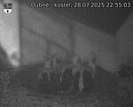 Capi_Dubne_20250728_225503.jpg