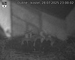 Capi_Dubne_20250728_230002.jpg