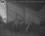 Capi_Dubne_20250728_231503.jpg