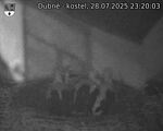 Capi_Dubne_20250728_232003.jpg