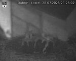 Capi_Dubne_20250728_232502.jpg