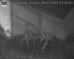Capi_Dubne_20250728_233003.jpg