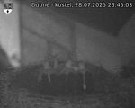 Capi_Dubne_20250728_234503.jpg