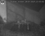 Capi_Dubne_20250728_235502.jpg