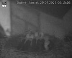 Capi_Dubne_20250729_001503.jpg