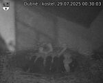 Capi_Dubne_20250729_003003.jpg