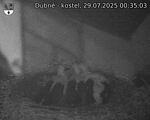 Capi_Dubne_20250729_003503.jpg