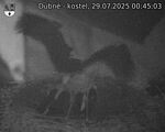 Capi_Dubne_20250729_004503.jpg