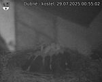 Capi_Dubne_20250729_005502.jpg