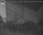 Capi_Dubne_20250729_010002.jpg