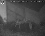 Capi_Dubne_20250729_011003.jpg