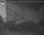 Capi_Dubne_20250729_013503.jpg