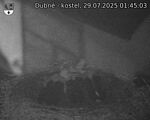Capi_Dubne_20250729_014503.jpg