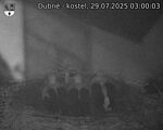 Capi_Dubne_20250729_030003.jpg